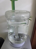 食品級(jí)PC透明純凈水桶裝礦泉水桶裝手提儲(chǔ)水桶飲水機(jī)家用下置水桶 7.5升白色食品級(jí)飲水機(jī)桶-3人 曬單實(shí)拍圖