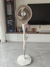 格力空氣循環(huán)扇家用客廳臺(tái)地兩用電風(fēng)扇落地扇變頻循環(huán)左右搖頭輕噪對(duì)流香薰驅(qū)蚊凈化 FXD-1906Bg3【升級(jí)新品風(fēng)隨溫變+香薰】 曬單實(shí)拍圖