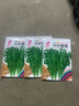 【種子大全】12種蔬菜種子四季菜種子陽(yáng)臺(tái)盆栽綠植庭院易種春秋 芹菜+小白菜+生菜+香菜每樣3包 曬單實(shí)拍圖