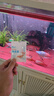 京厽魚(yú)樂(lè )寶魚(yú)缸凈水劑自來(lái)水養魚(yú)除氯免曬水免困水水質(zhì)穩定劑大蘇打水 省力免困免曬水1瓶/100粒裝/120g 曬單實(shí)拍圖
