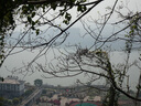 索尼 Sony DSC-WX350 WX300 WX830 WX500 WX700數(shù)碼相機二手相機 【99新】索尼DSC-WX800 曬單實拍圖