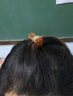 莎拉迪爾（saradear）法式高馬尾抓夾韓國FRANCE發(fā)夾后腦勺小號鯊魚(yú)夾公主頭半發(fā)爪夾 6#焦糖咖 曬單實(shí)拍圖
