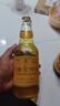 嶗山青島嶗特金啤純釀啤酒500ml*12瓶產(chǎn)地嶗山泉水釀造 500mL 12瓶 (1箱) 曬單實(shí)拍圖