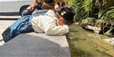 babylove嬰幼兒背帶裙女寶寶春季純棉裙子洋氣碎花半身裙春裝盧浮宮韻 盧浮宮韻 90 曬單實拍圖