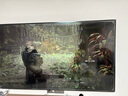 索尼（SONY）PS5游戲光盤(pán) 索尼大作游戲軟件 盒裝實(shí)體光盤(pán)海外版 戰(zhàn)錘40K 星際戰(zhàn)士2 歐版（中文） 曬單實(shí)拍圖