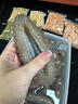 遼夢【銷量300萬+只】海參正品大連遼參即食海參頂配遼刺參單個獨立裝 【頂配】遼參凈重500g20-24只 曬單實拍圖