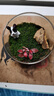 綠蔭巷子苔蘚微景觀(guān)生態(tài)瓶私人草坪桌面迷你盆栽辦公室創(chuàng  )意教師節禮物神奇 【成品】草坪小狗 曬單實(shí)拍圖