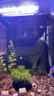 森森（SUNSUN）魚缸HR原廠標配水泵led燈HE水泵配件 HR-380標配led燈 曬單實拍圖