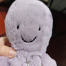 Jellycat英國高端毛絨玩具 法比安青蛙王子 23cm 生日禮物送女友 曬單實拍圖