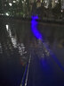 哲初德國品牌釣魚燈專用夜釣激光大炮超長續(xù)航大功率強(qiáng)光遠(yuǎn)射四色光源 經(jīng)典黑:基礎(chǔ)套餐 曬單實(shí)拍圖