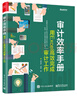 審計效率手冊：用Excel高效完成審計工作(博文視點(diǎn)出品) 曬單實(shí)拍圖