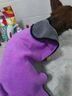 柒哦寵物吸水毛巾加厚速干狗狗浴巾泰迪比熊貓咪擦澡巾洗澡用品 紫色中號（110*55cm ） 曬單實(shí)拍圖