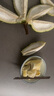 果寶專(zhuān)匠馬來(lái)西亞D197貓山王榴蓮新鮮進(jìn)口水果液氮冷凍帶殼榴蓮節日送禮品 3.7-4.1斤（保證4房 ） 曬單實(shí)拍圖