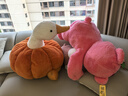搞怪南瓜大鵝抱枕創(chuàng  )意靠墊靠枕沙發(fā)汽車(chē)床頭毛絨花朵可愛(ài)布娃娃男 南瓜鵝 100厘米 曬單實(shí)拍圖