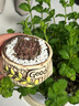 多肉植物組合小盆栽玉露桃蛋帶陶瓷盆土老樁高端仙人球不支持退貨 主圖款新手6盆套餐 送標(biāo)簽+托盤+ 含盆 曬單實(shí)拍圖