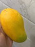 鎖季金煌芒芒果水仙大芒果熱帶新鮮水果薄皮甜心芒青芒水果禮盒中秋 9斤商超特大果 單果600g+ 曬單實拍圖