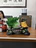 悟天玉白菜擺件招財金蟾新店開(kāi)業(yè)大吉禮物前臺收銀臺裝飾擺件高端大氣 廣納財源金蟾40*22*30CM 曬單實(shí)拍圖