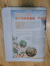 SOLDOROS包裝填充舊報紙寵物墊清潔用塞鞋油漆廢舊報紙打包報紙裝修塞鞋紙 二斤 中文大報紙54X78 曬單實(shí)拍圖