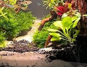 捷寶Jebao捷寶dmp魚(yú)缸造浪泵缸外供電海缸智能沖浪泵底吹環(huán)流變頻藍牙 【W(wǎng)IFI+藍牙】8W 適合50CM以下魚(yú)缸 曬單實(shí)拍圖