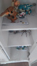 樂(lè )高（LEGO）7歲+侏羅紀世界拼裝積木粉絲收藏兒童玩具男女孩生日禮物 76967 霸王龍女兒 曬單實(shí)拍圖