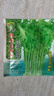 四季小香芹種子秋季盆栽香味濃郁實(shí)心芹菜籽四季可栽種蔬菜種子 精選良品芹菜種子【新種】 1包約999粒 曬單實(shí)拍圖