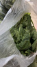 綠食者新鮮小芥蘭 新鮮蔬菜 小芥藍(lán) 中花芥蘭 500g 1斤 曬單實(shí)拍圖