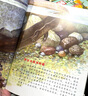 小牛頓科學(xué)館（全面升級精選版 套裝共30冊）   曬單實拍圖