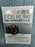 佳能微單EOS R5/R6攝影與視頻拍攝技巧大全 曬單實(shí)拍圖