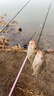 狼王競技狼牙魚鉤散裝細條改良正釣黑坑偷驢新關(guān)東無刺鯽魚鯉魚飛磕鉤 綠色競技狼牙100枚 9號 曬單實拍圖