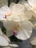 野派蝴蝶蘭仿真花假花裝飾客廳插花餐桌角幾電視柜玄關(guān)擺件酒店擺設(shè) A款套裝花藝 曬單實拍圖