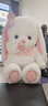 蓓斯曼兔子毛絨玩具女孩子娃娃小白兔子玩偶公仔布娃娃兒童玩具生日禮物 BABY兔 60厘米 曬單實(shí)拍圖