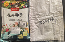 花友秀 進口白三葉草種子凈籽 四季青 低矮草籽公園小區(qū)綠化牧草花種子 曬單實拍圖