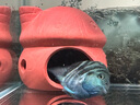 共度（Gong Du）魚缸躲避屋魚蝦躲避洞迷你鸚鵡鯛罐窩魚繁殖罐紫砂陶罐造景小擺件 【紅陶】組合1 曬單實(shí)拍圖