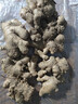北森南嶼云南小黃姜生姜高山土姜月子姜新姜老姜新鮮現挖 小黃姜嫩姜凈重1斤 曬單實(shí)拍圖