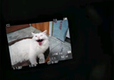 索尼【螞蟻攝影】ILCE-7M4 A7M4全畫(huà)幅微單數碼相機 五軸防抖 4K 60p視頻錄制  索尼α7IV 單機+24-70 F2.8 GM II 套餐四（2年意外險）【進(jìn)階套餐 配件更高級】 曬單實(shí)拍圖