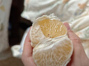 正宗象山青橘子日本春香柚柑橘新鮮桔子水果象山特產(chǎn)黃金貢柑桔 超大果 掌柜推薦 純甜無酸 5斤 曬單實拍圖