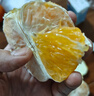 世果達正宗陽(yáng)光一號桔柚 湖南懷化洪江特產(chǎn)水果冰糖柑橘子貢柚整箱送禮 5斤普裝大果【單果75mm】 曬單實(shí)拍圖
