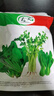 北蔬 蔬菜種子大全品種陽(yáng)臺四季播種菜籽 批發(fā)家庭種植農科院種子夏季 四粒紅花生種子 100克【帶殼】 曬單實(shí)拍圖