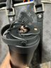 星巴克星巴克（Starbucks）保溫杯陶瓷內(nèi)膽高顏值雙口辦公室隨手咖啡杯 墨色黑【陶瓷內(nèi)膽】 1個(gè) 500ml 曬單實(shí)拍圖
