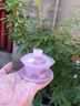 匠之源鴻運蓮年琉璃茶具套裝家用蓋碗茶壺辦公室粉色功夫茶具高檔禮盒裝 櫻花粉鴻運蓮年10頭套裝 曬單實(shí)拍圖