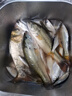 川澤升級新關(guān)東子線(xiàn)雙鉤成品綁好魚(yú)鉤套裝鰱鳙大物鉤進(jìn)口原絲拉力強 80cm 【鉤4線(xiàn)3.5+鉤5線(xiàn)4.0】 升級新關(guān)東子線(xiàn)雙鉤 曬單實(shí)拍圖