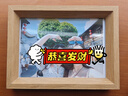 天色6寸雙面透明相框植物標本相框剪紙畫框裱框照片書雙面透明玻璃樹葉標本框擺臺壓花展示框 TS-6506 曬單實拍圖