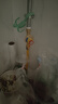 管家貓燃氣管天然氣波紋管天然氣軟管304不銹鋼燃氣管4分煤氣管燃氣灶管 1.5米可穿墻【插口+螺口通用】 4分接頭可拆卸不銹鋼燃氣管 曬單實拍圖