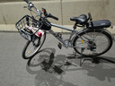 飛鴿（FLYING PIGEON）飛鴿自行車城市通勤代步碟剎變速成人男女學生車復古老式單車 禧瑪諾21速-雙碟剎 銀色 26英寸適合150-180cm 曬單實拍圖