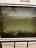 創(chuàng)星魚缸潛水泵水族魚缸循環(huán)過濾抽水泵AT 304 305增氧家用AT105水泵 創(chuàng)星AT305S+水管一米 曬單實(shí)拍圖