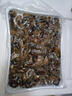 蝦先生湛江生蠔干牡蠣干海鮮海產(chǎn)干貨150頭規(guī)格海蠣子蠔豉煲湯煮粥食材 禮盒裝生蠔干500g 曬單實(shí)拍圖