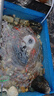 格池（GRECH）魚池過濾器水循環(huán)凈化系統(tǒng)噴泉水泵錦鯉池過濾泵噴泉水景庭院水池 CUF6011 57瓦 適用5立方內(nèi) 送配套棉 曬單實(shí)拍圖