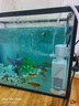 olevo魚(yú)缸過(guò)濾器五合一內(nèi)置靜音小型魚(yú)缸凈水泵循環(huán)泵增氧泵造浪過(guò)濾泵 五合一過(guò)濾器6W（適合30-40cm） 曬單實(shí)拍圖