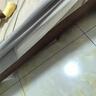imomoto嬰兒澳棉秋冬款寶寶恒溫保暖防踢純棉豆豆絨兒童分腿睡袋 凱撒奶酪【推薦室溫10°-20°】 L（衣長90cm推薦身高95-105cm） 曬單實拍圖