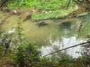 夢(mèng)輝一發(fā)魚(yú)紋仿生鐵板高銻鉛壓鑄搭載四倍加強(qiáng)鉤遠(yuǎn)投飄落鐵板 毒牙黃 13.5克【正版鐵板】 曬單實(shí)拍圖